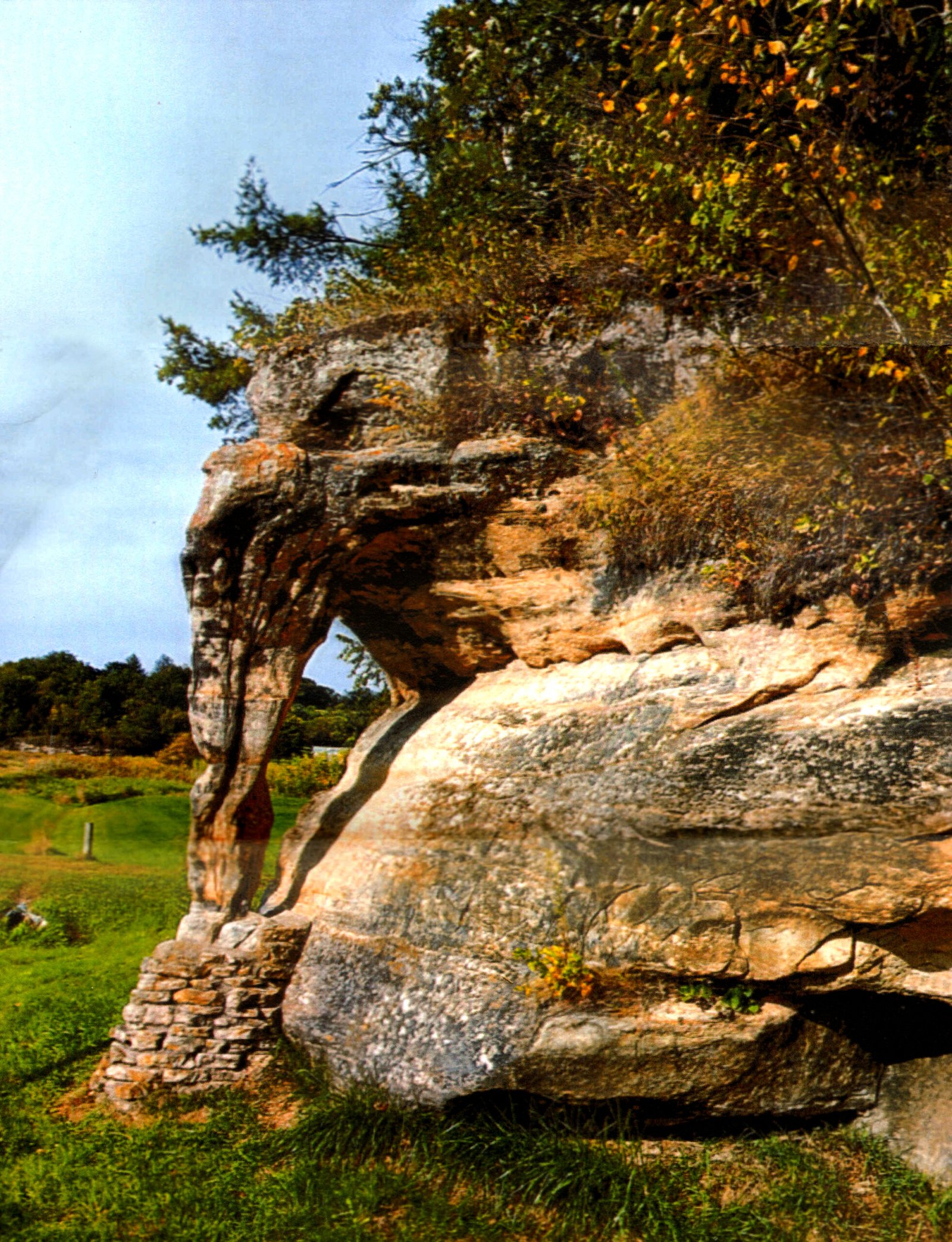 elephant rock scaled