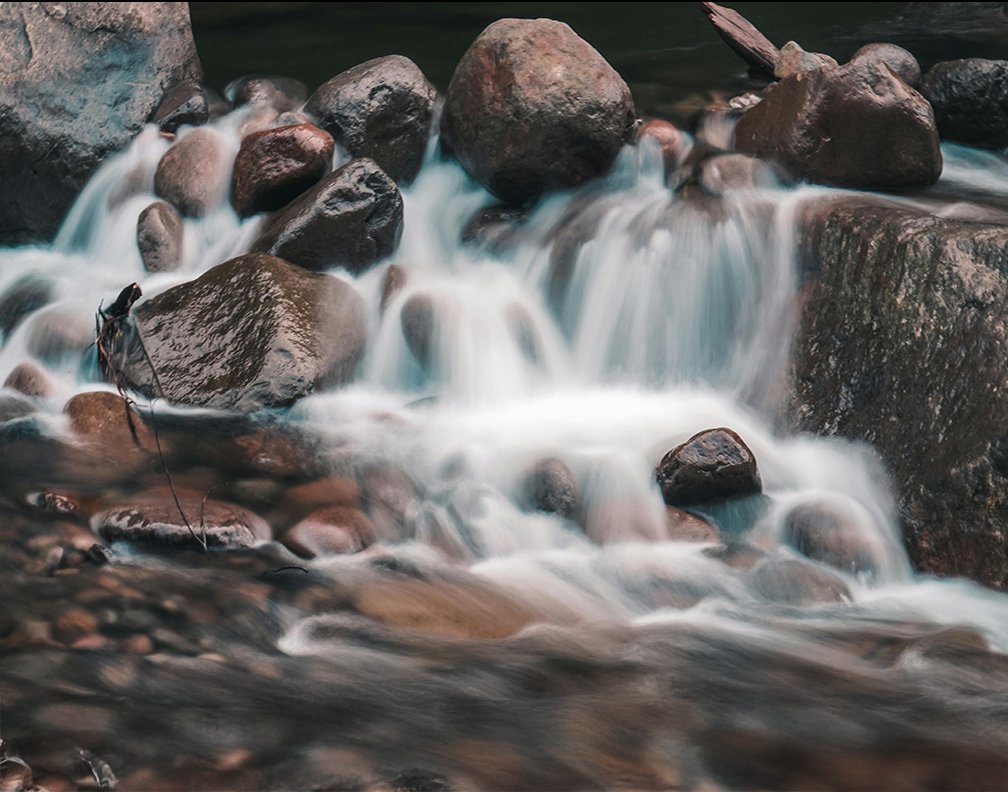 pexels brixton 11530177